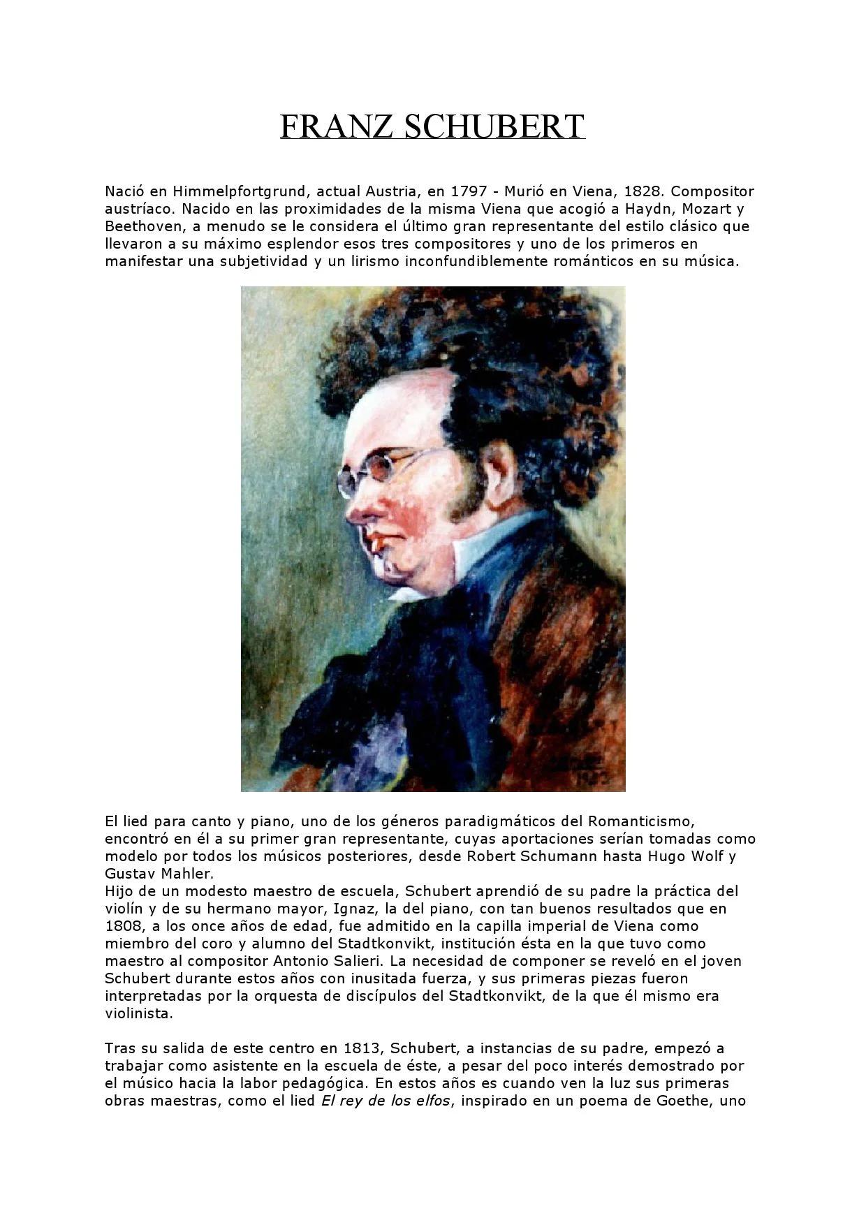 biografia resumida de franz schubert - Cómo era Franz Schubert
