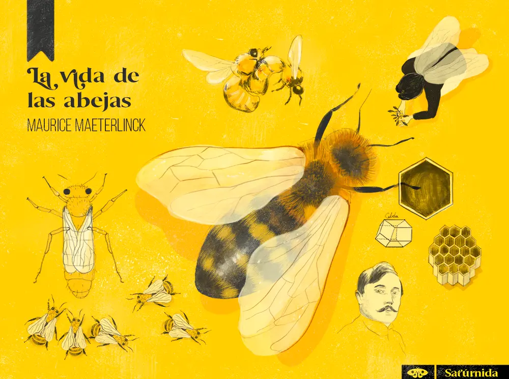 la vida de las abejas maurice maeterlinck resumen - Cómo es la vida de las abejas resumen