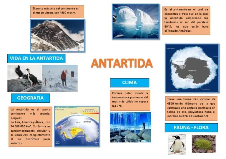 la antartida resumen - Cómo está formada la Antártida