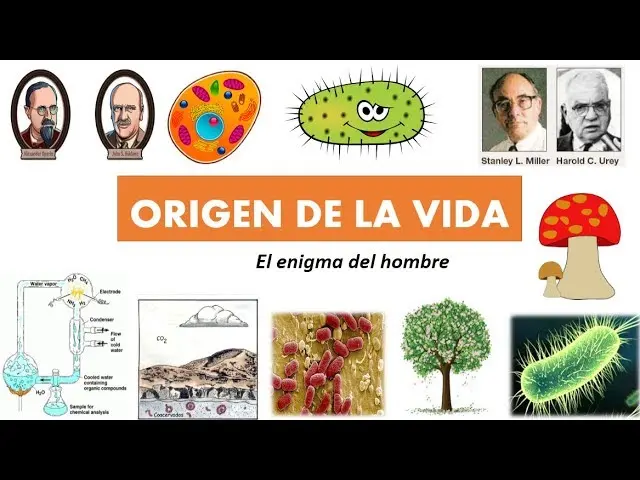 origen de la vida biologia resumen - Cómo explica la biología el origen de la vida