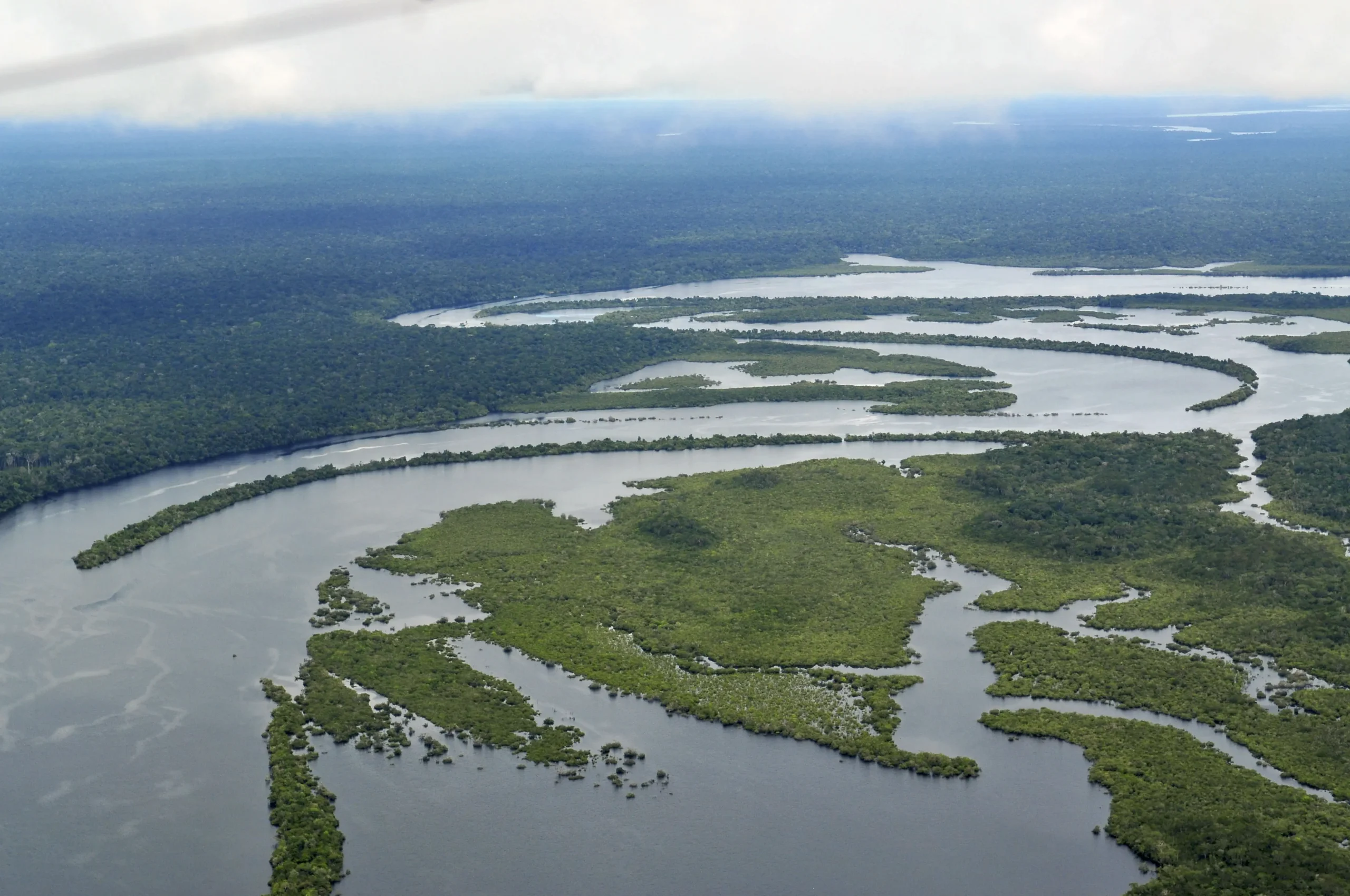 resumen del amazonas - Cómo se formó la Amazonas