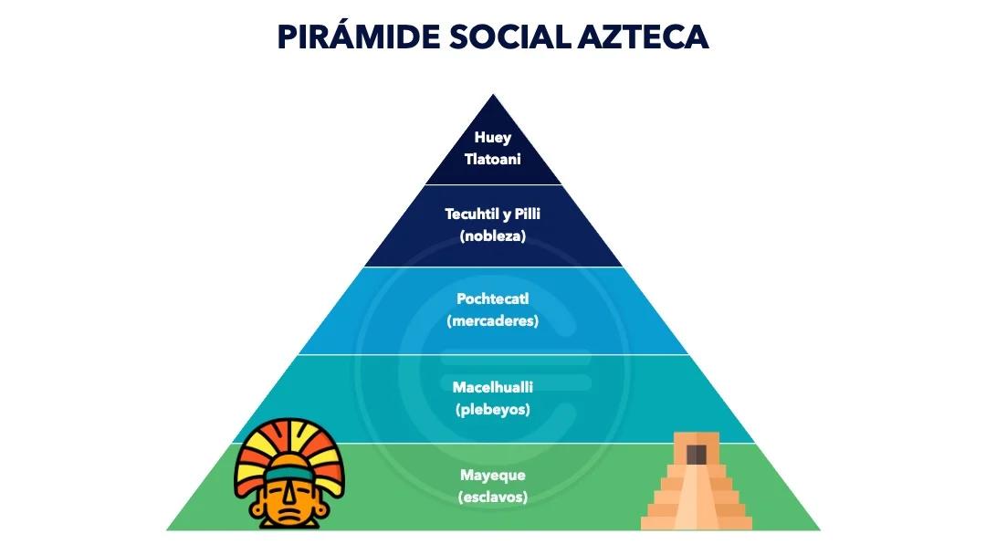 organizacion social de los aztecas resumen - Cómo se organizaba la política azteca