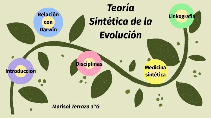 resumen de la teoria sintetica de la evolucion - Cómo se originó la teoría sintética de la evolución