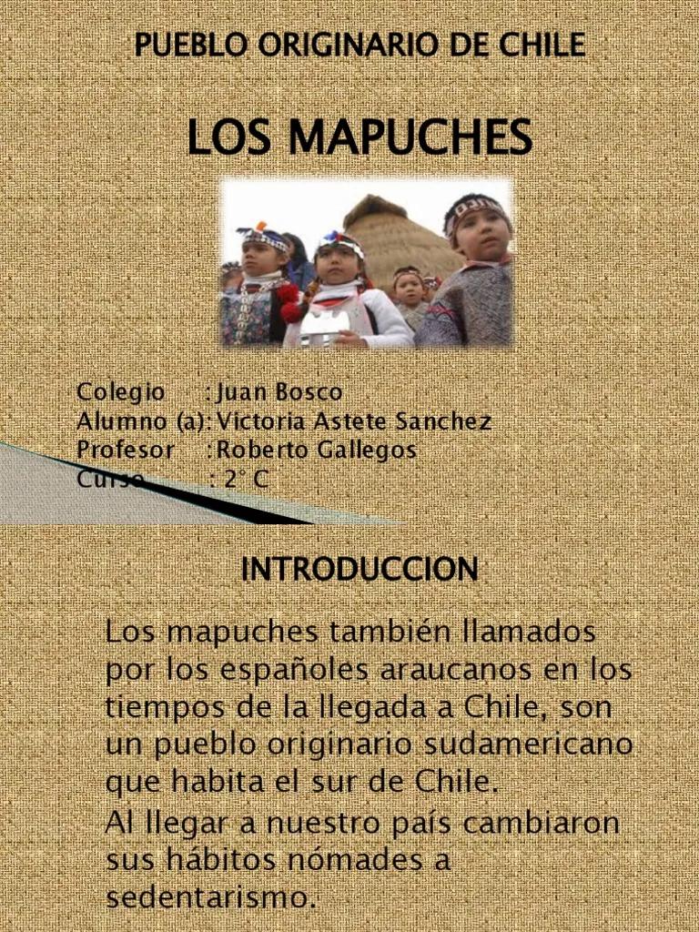 los mapuches resumen - Cómo y dónde viven los mapuches