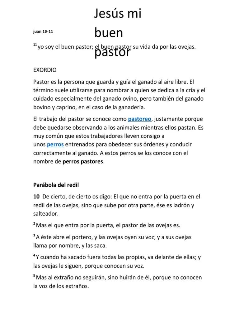 el buen pastor resumen - Cuál es el mensaje de la parábola del Buen Pastor