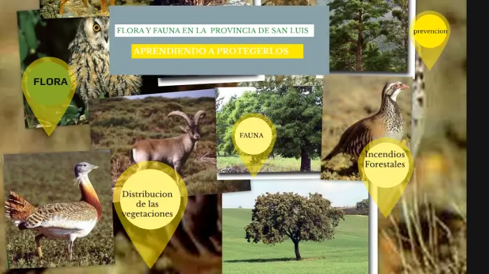 flora y fauna de san luis resumen - Cuál es la flora de la provincia de San Luis