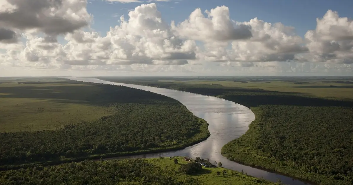 el rio amazonas resumen - Cuál es la importancia del río Amazonas para el mundo