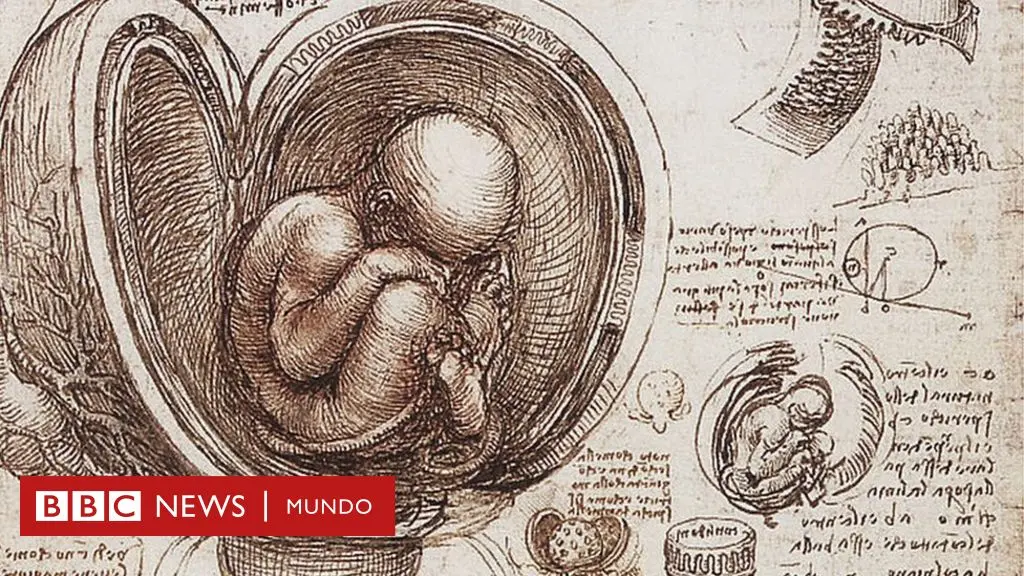 Quién es Leonardo da Vinci: Resumen de su vida y obra - Cuál fue el mayor logro de Leonardo da Vinci quién es leonardo da vinci resumen - Cuál fue el mayor logro de Leonardo da Vinci