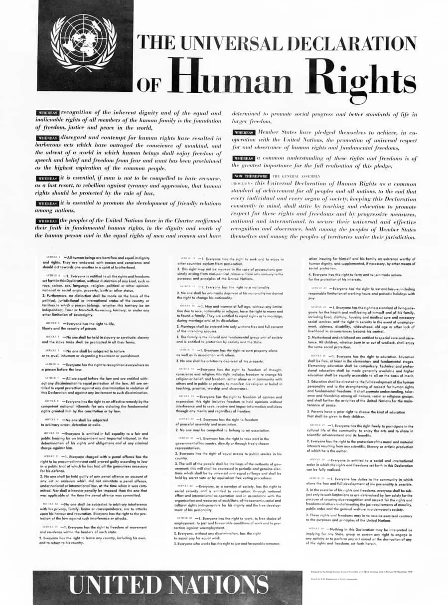 declaracion universal de los derechos humanos 1948 resumen - Cuál fue el motivo de la promulgación de los derechos humanos