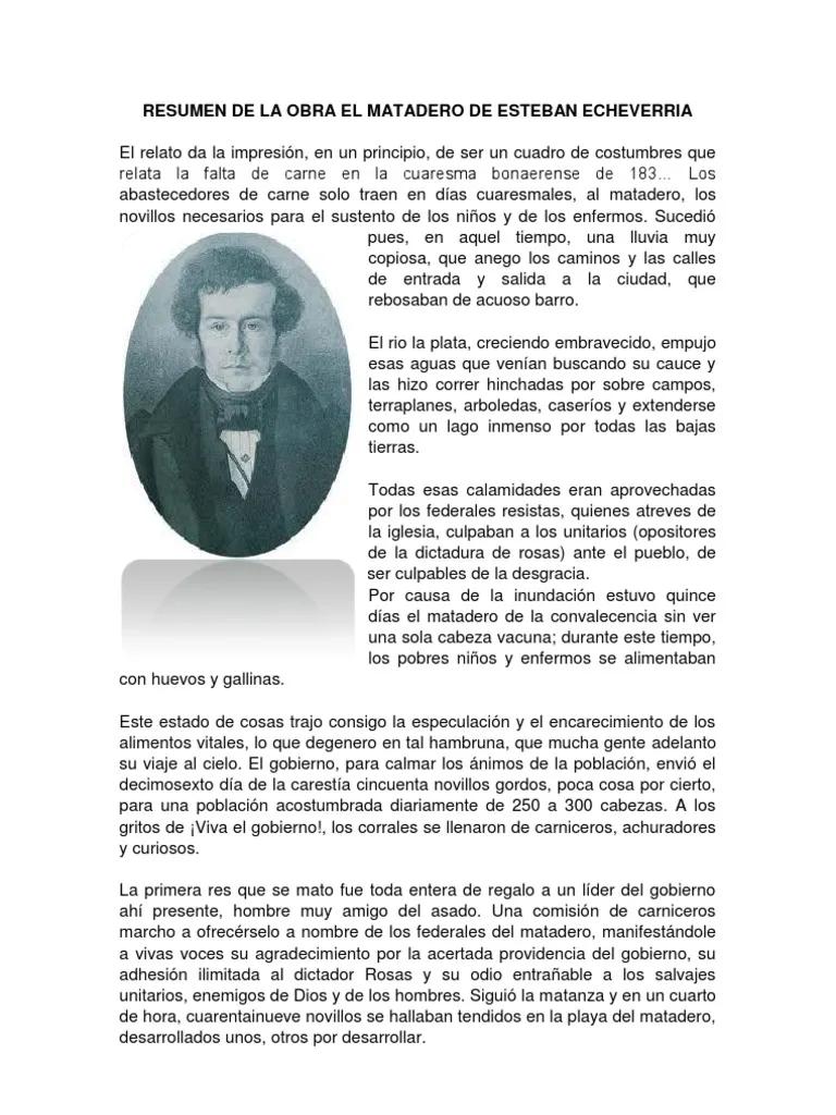 Resumen de Esteban Echeverría - Cuáles eran las ideas políticas de Echeverría resumen de esteban echeverria - Cuáles eran las ideas políticas de Echeverría