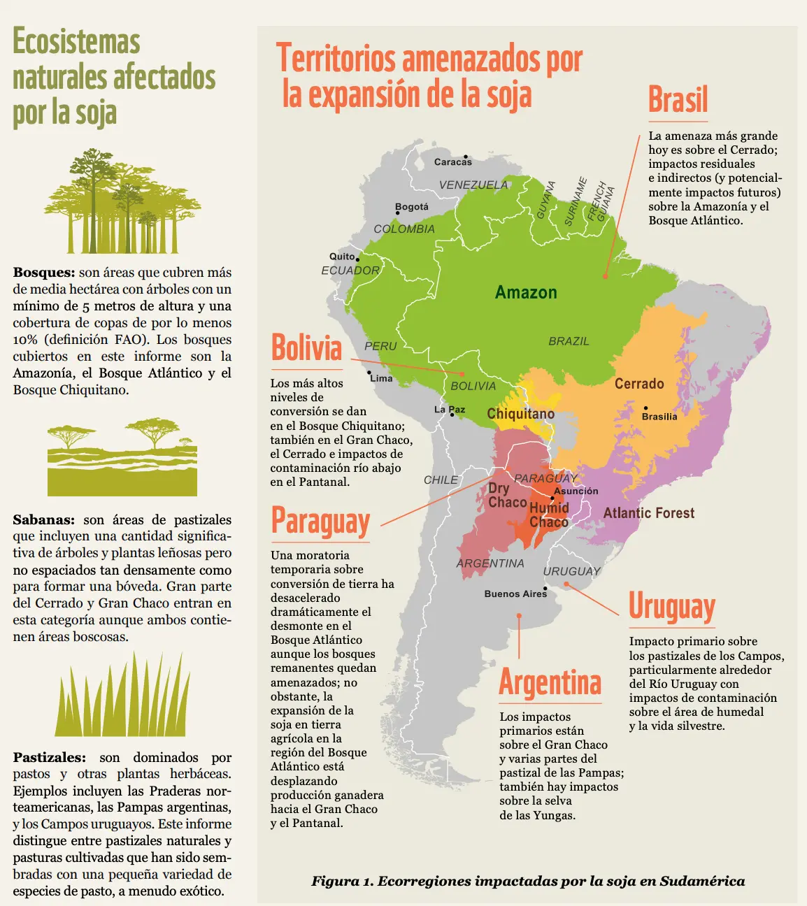 expansion de la soja en argentina resumen - Cuáles son las causas de la expansion de soja en Argentina