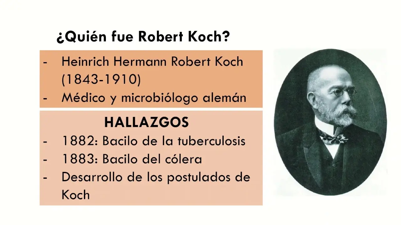 postulados de koch resumen - Cuáles son los postulados de Koch en plantas