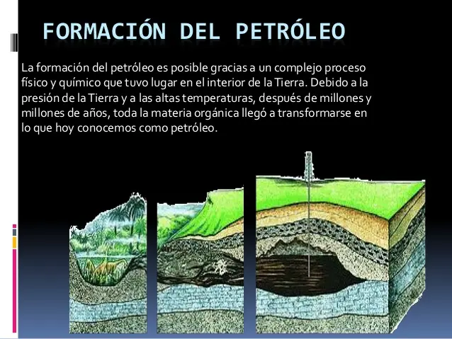 como se forma el petroleo resumen - Cuándo se formó el petróleo en la tierra