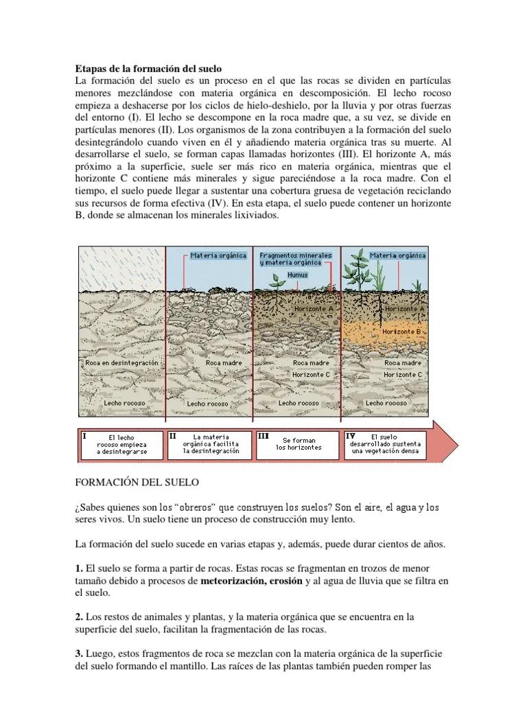 formacion del suelo resumen - Cuántas etapas tiene la formación del suelo