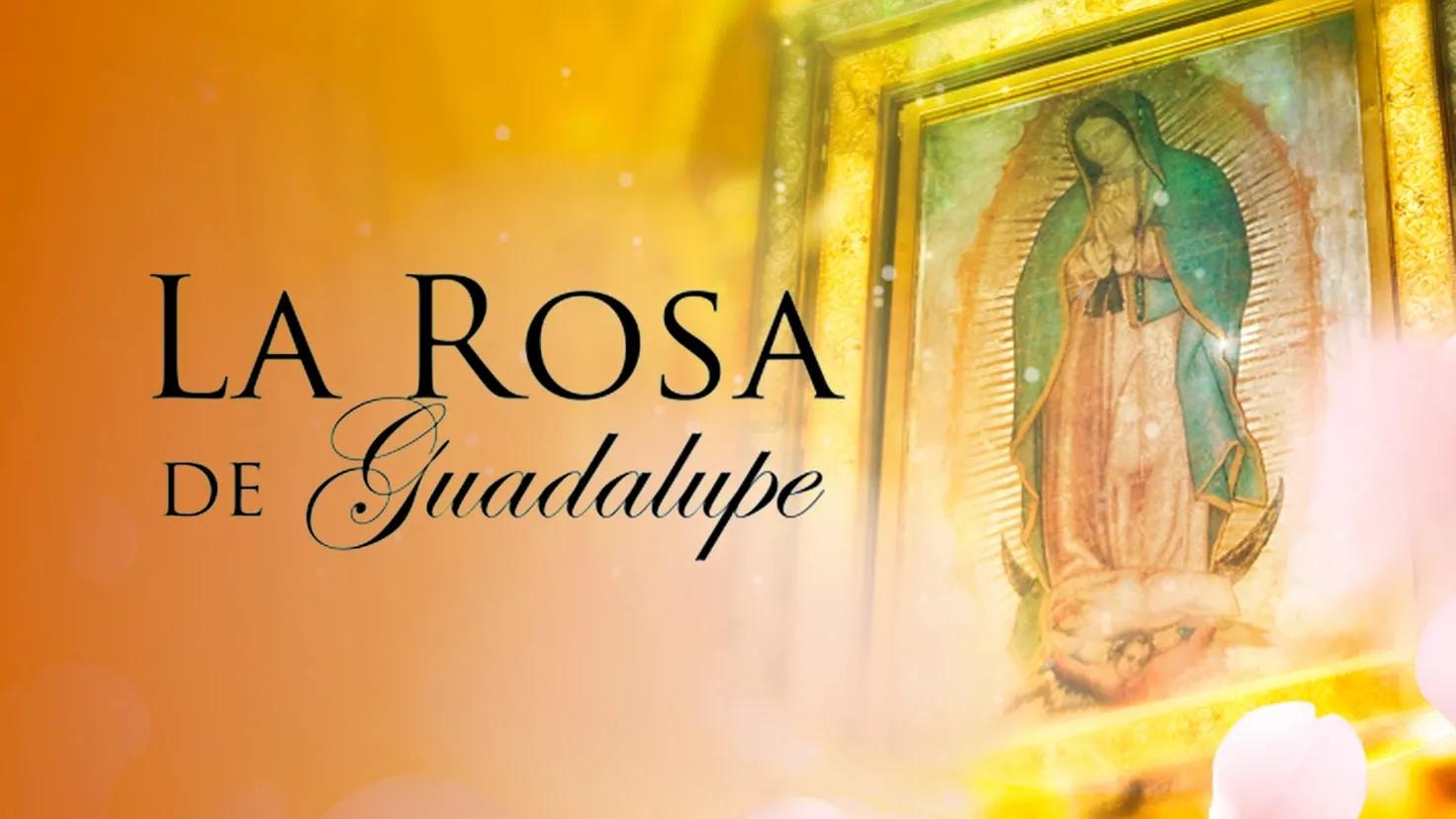 la rosa de guadalupe resumen - Cuántos años lleva existiendo La Rosa de Guadalupe