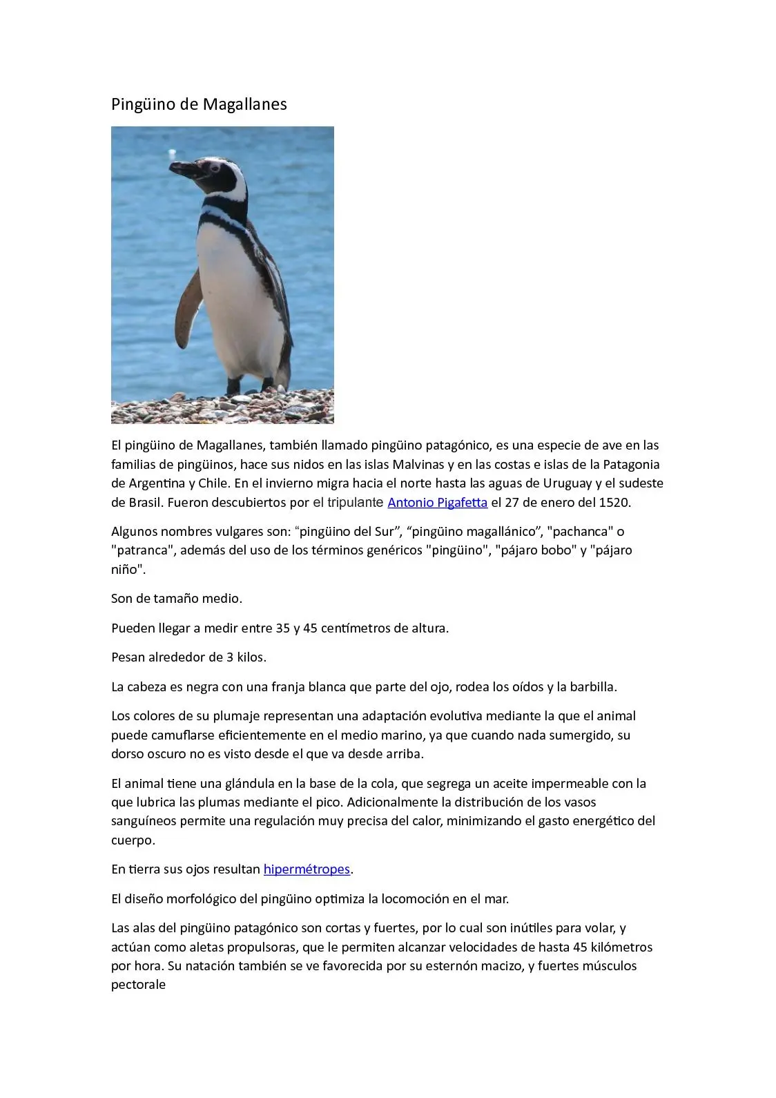 colonias de nidificacion de pinguinos en las costas patagonicas resumen - Dónde hacen los nidos los pingüinos