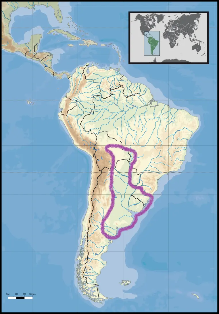 llanura chaqueña resumen - Dónde se ubica la llanura chaqueña Argentina