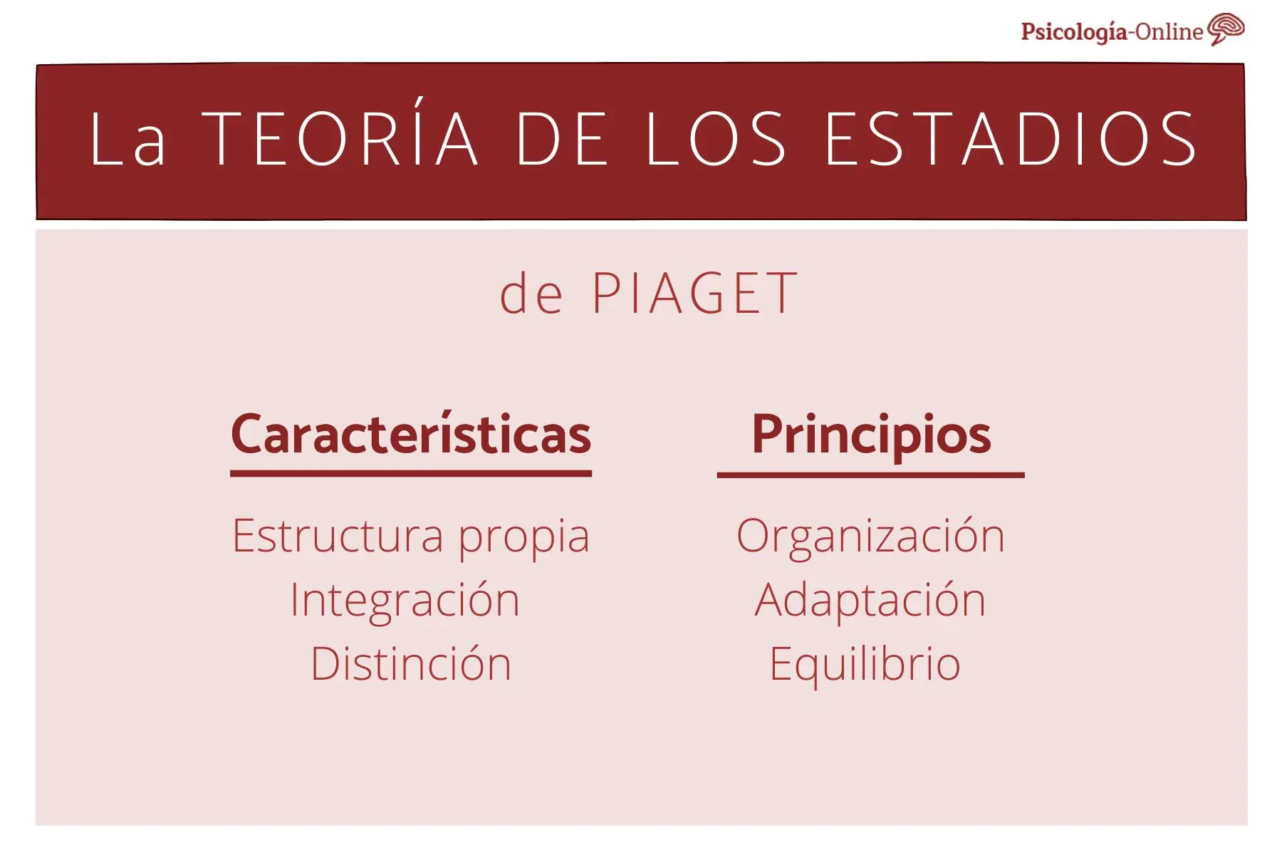 estadios de piaget resumen - Por qué Piaget habla de estadios