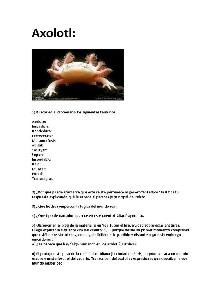 axolotl cuento resumen - Qué clase de cuento es Axolotl