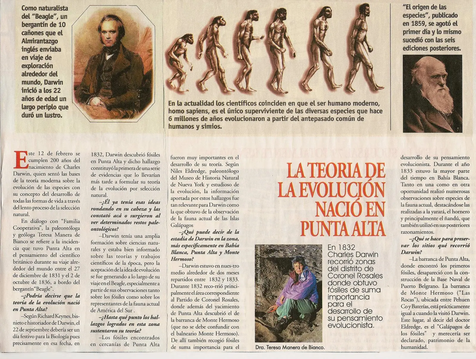 darwin y la evolucion resumen - Qué dice la teoría de Darwin sobre la evolución del hombre