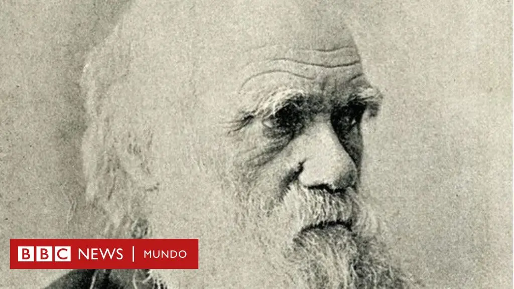 resumen de la teoría de la evolución - Qué dice la teoría de la evolución de Charles Darwin