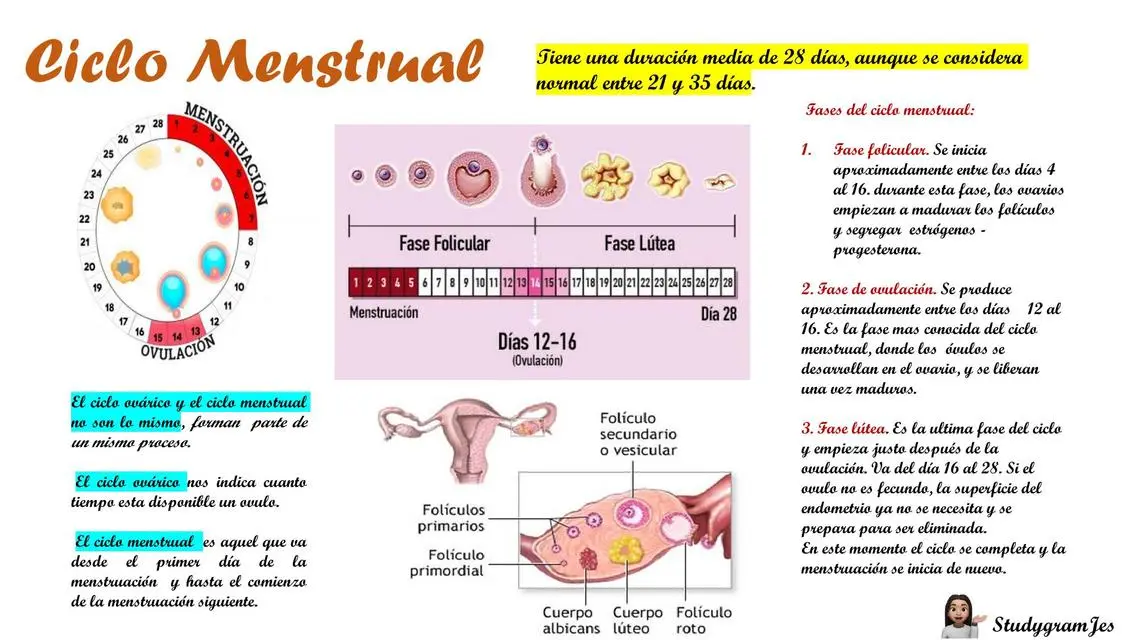 ciclo menstrual resumen biologia - Qué es el ciclo menstrual respuesta