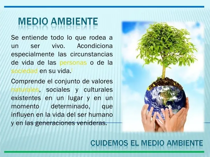 informacion sobre el cuidado del medio ambiente resumen - Qué es el cuidado ambiental resumen