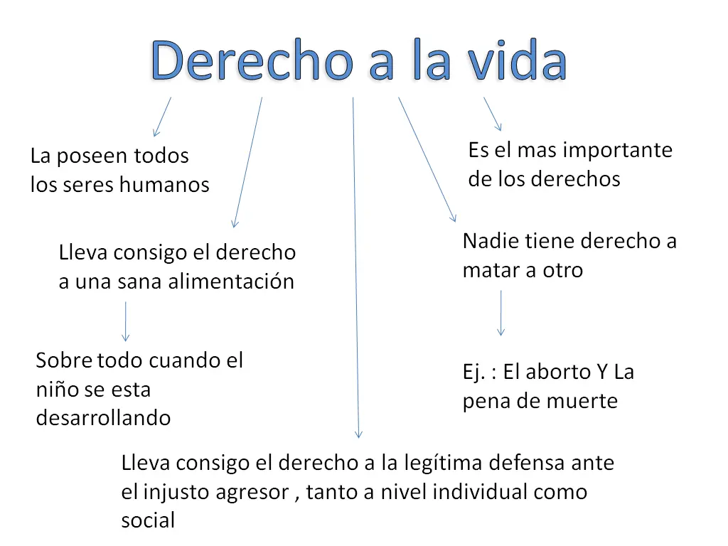 Derecho a la vida: Resumen - Qué es el derecho a la vida en Argentina derecho a la vida resumen - Qué es el derecho a la vida en Argentina