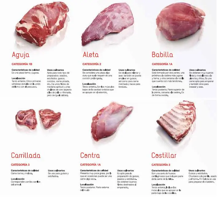 la carne resumen - Qué es el libro carne