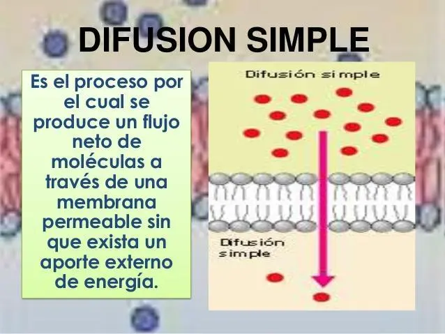 difusión simple resumen - Qué es la difusión simple y un ejemplo