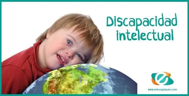 resumen de la discapacidad intelectual - Qué es la discapacidad intelectual OMS