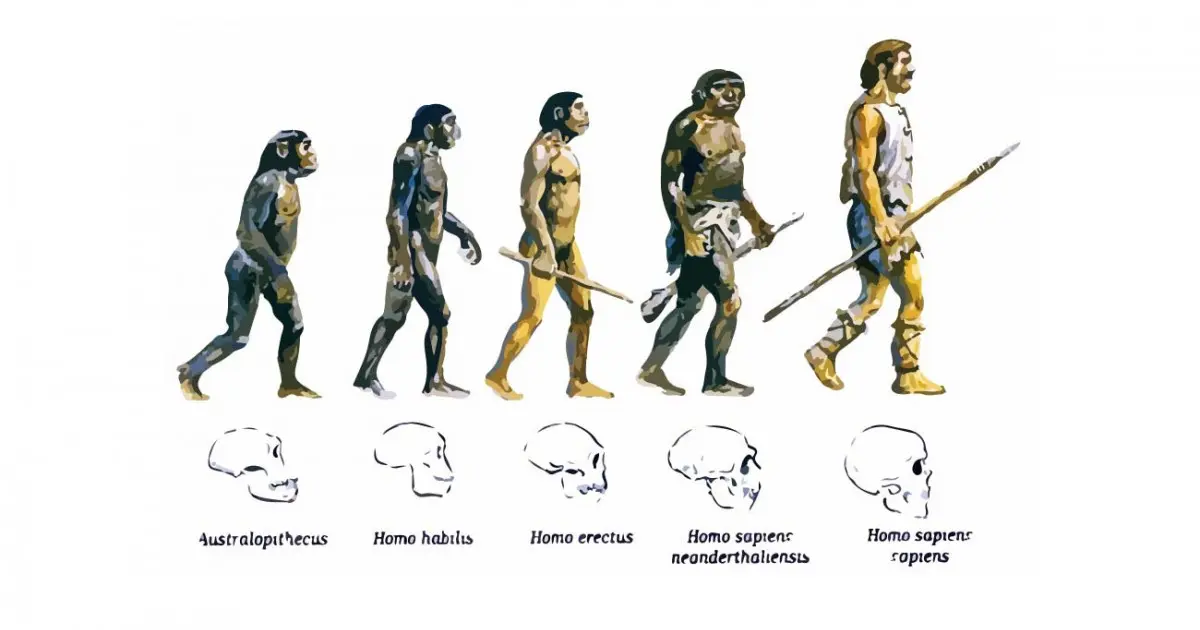 que es la evolucion biologica resumen - Qué es la evolución en pocas palabras