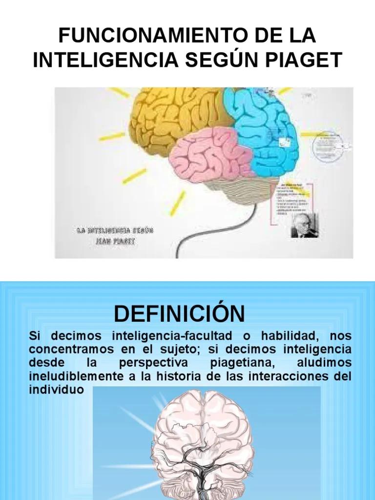 inteligencia piaget resumen - Qué es la inteligencia para Piaget