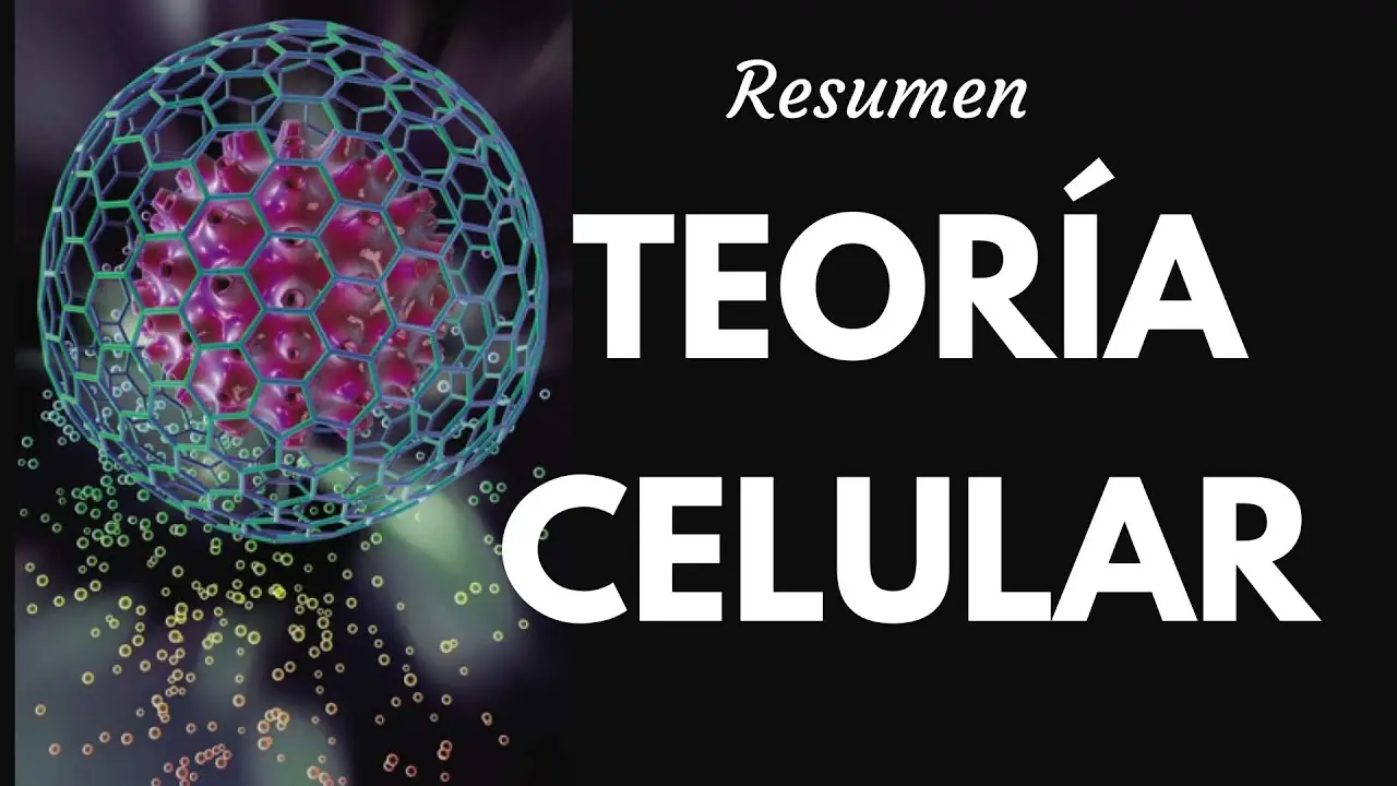 teoria celular resumen - Qué es la teoría celular y cuáles son sus 4 postulados