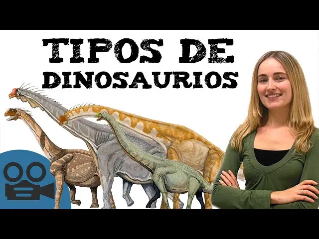 informacion de los dinosaurios resumen - Qué es lo más importante sobre los dinosaurios