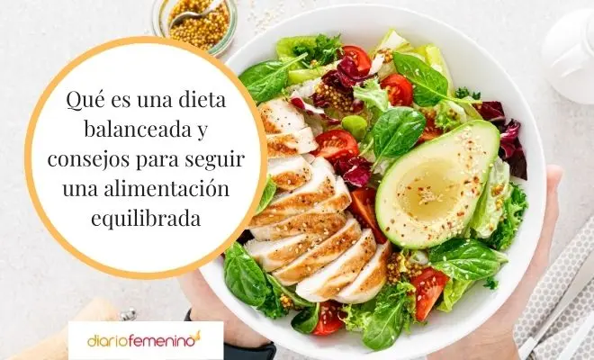 Dieta Balanceada: Alimentos Saludables Y Control De Peso | En Pocas