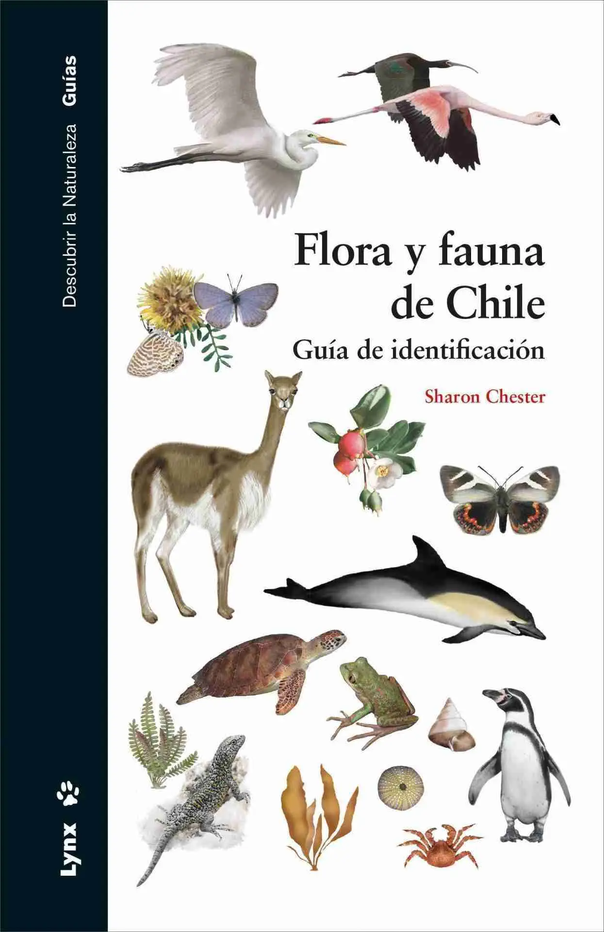 flora y fauna de chile resumen - Qué flora y fauna hay en Chile