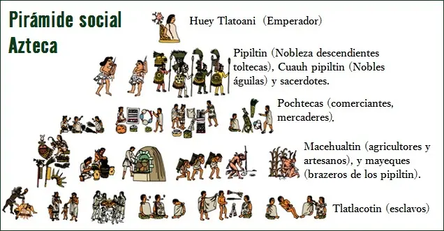 organizacion social de los aztecas resumen - Qué grupo social tiene mayor poder entre los aztecas