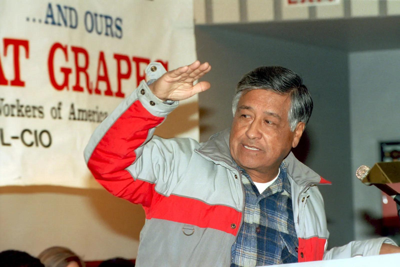 cesar chavez resumen - Qué hizo César Chávez 1927 1993