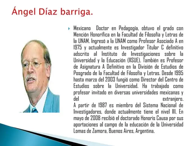 resumen de angel diaz barriga - Qué plantea el modelo curricular de Ángel Díaz Barriga