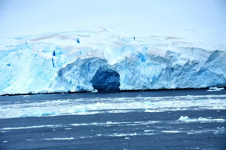 la antartida resumen - Que se encuentra en la Antártida