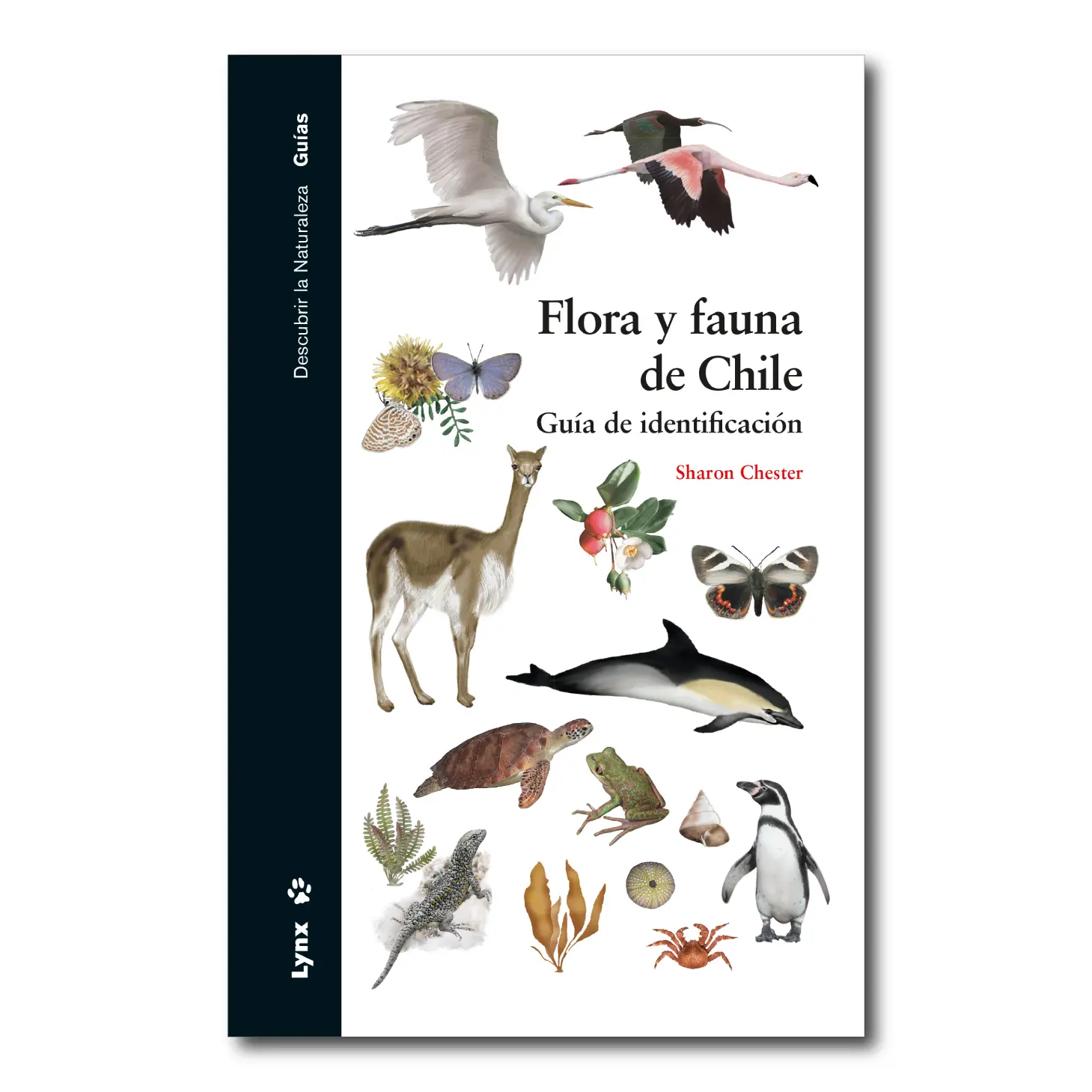 flora y fauna de chile resumen - Qué tipo de fauna hay en Chile
