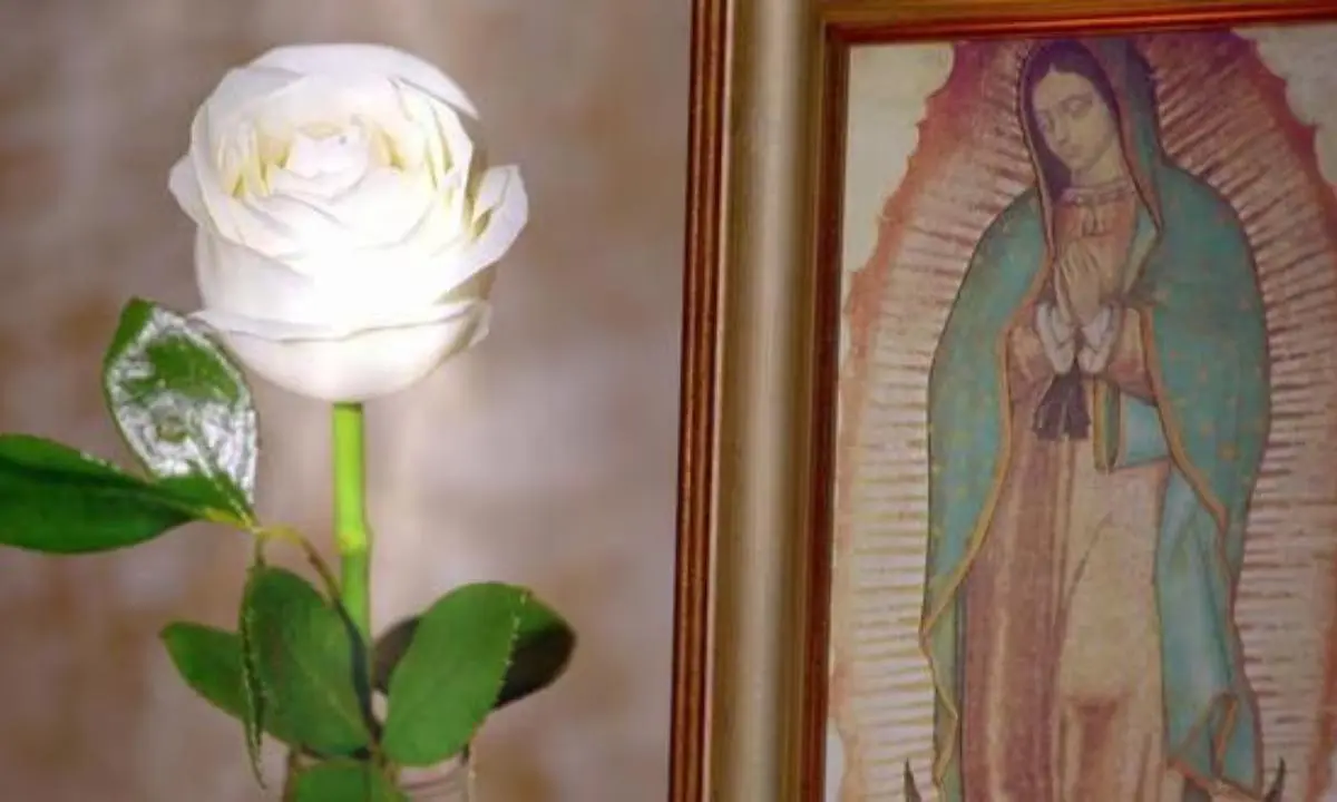 la rosa de guadalupe resumen - Quién escribe las historias de La Rosa de Guadalupe