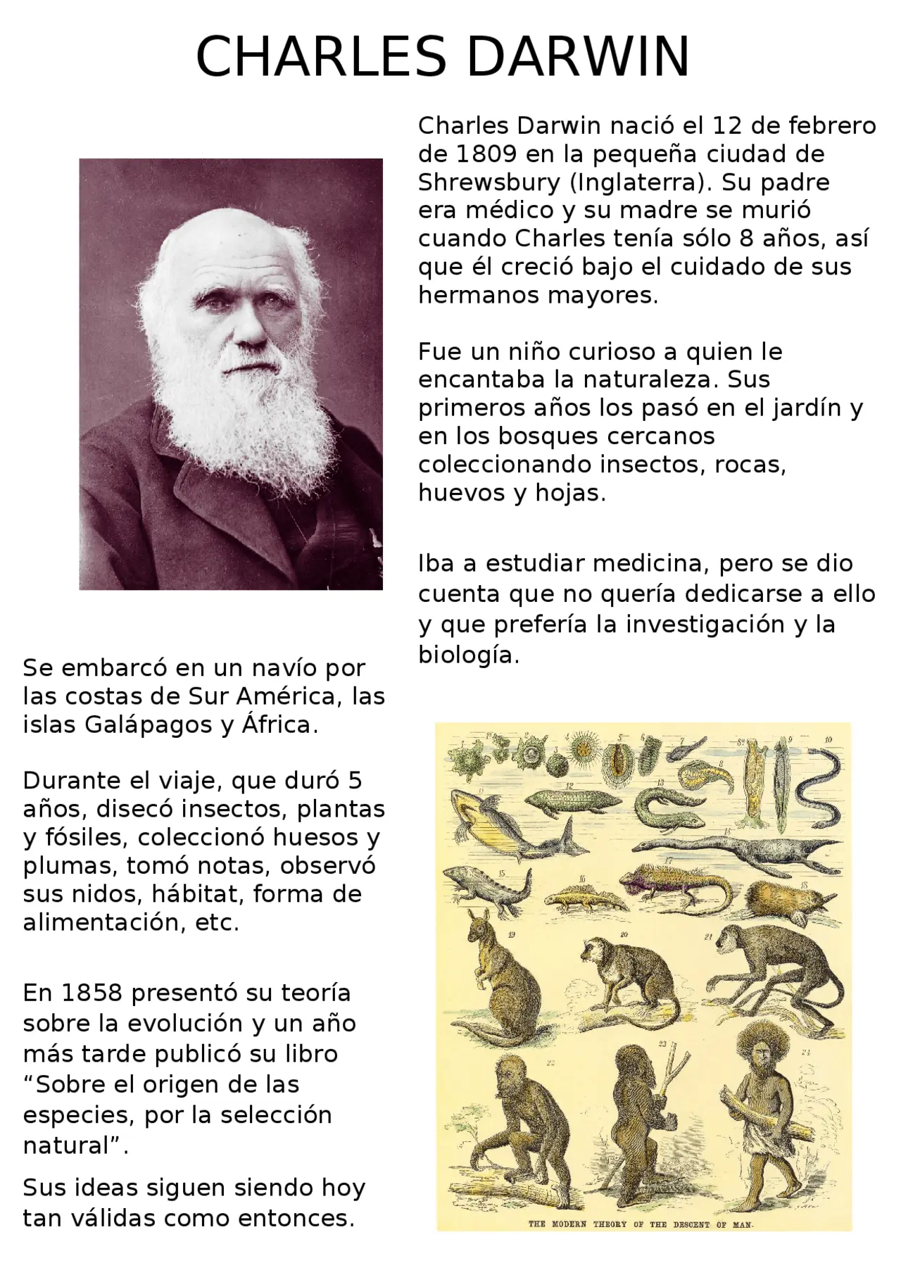 resumen de la biografia de charles darwin - Quién fue Charles Darwin resumen para niños